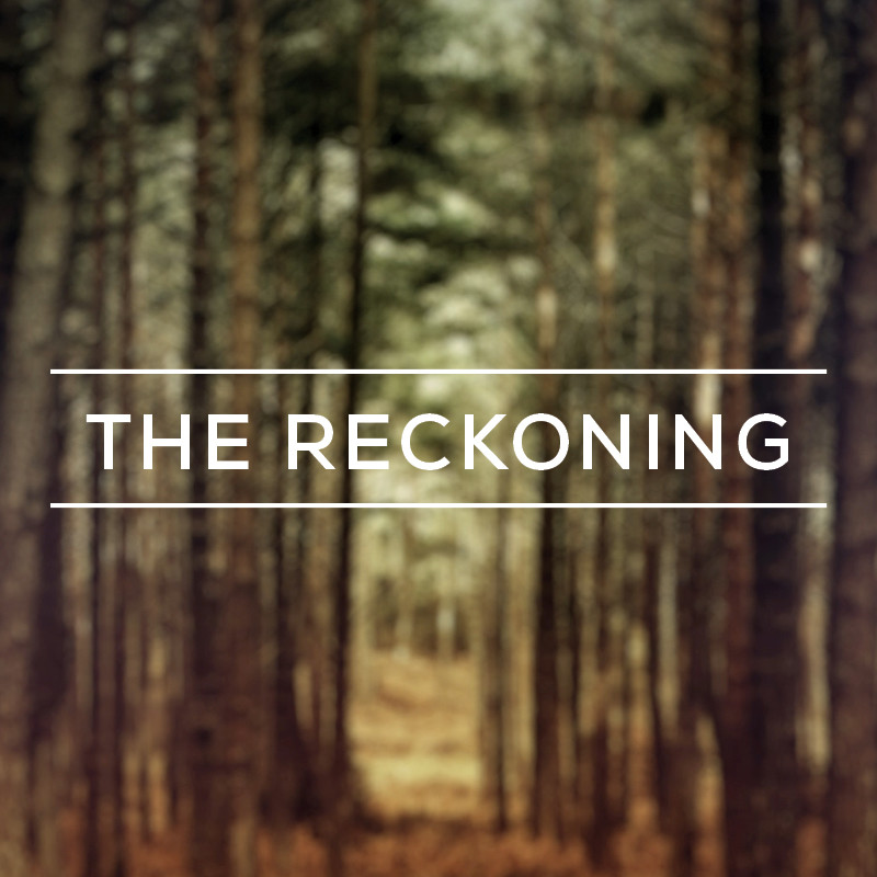 You are currently viewing RISING STRONG LESSON 2: THE RECKONING