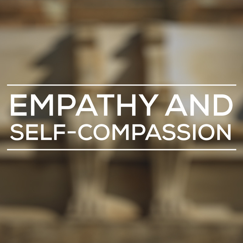 Read more about the article DARING GREATLY LESSON 3: EMPATHY AND SELF-COMPASSION