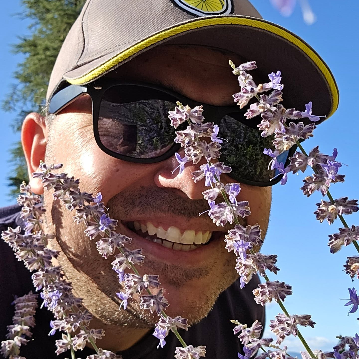 Matthew in Provence 🪻